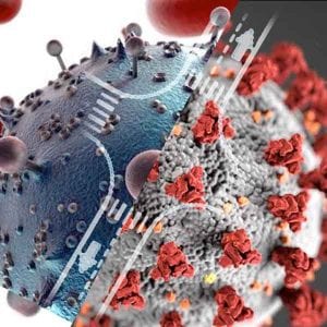 KEYNOTE COVID-19 and HIV: Intersecting Pandemics